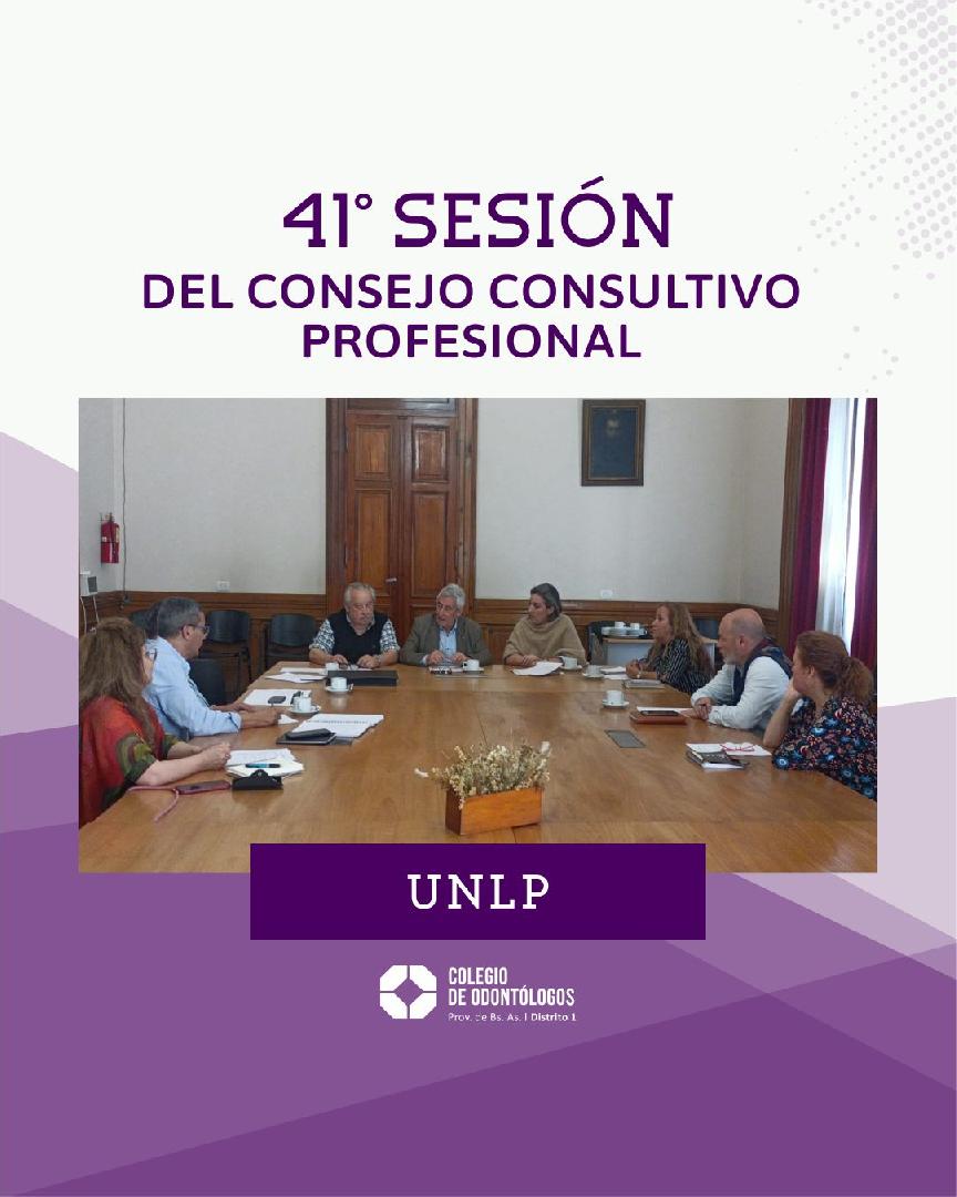 41º SESIÓN DEL CONSEJO CONSULTIVO PROFESIONAL DE LA UNLP